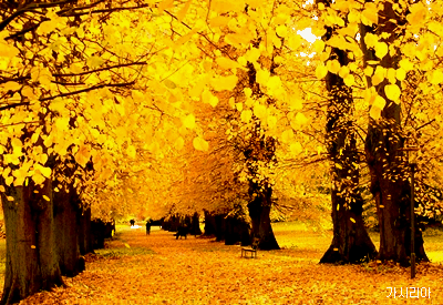 2611C84F540A8B512BC043