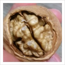 동네부엌 이미지
