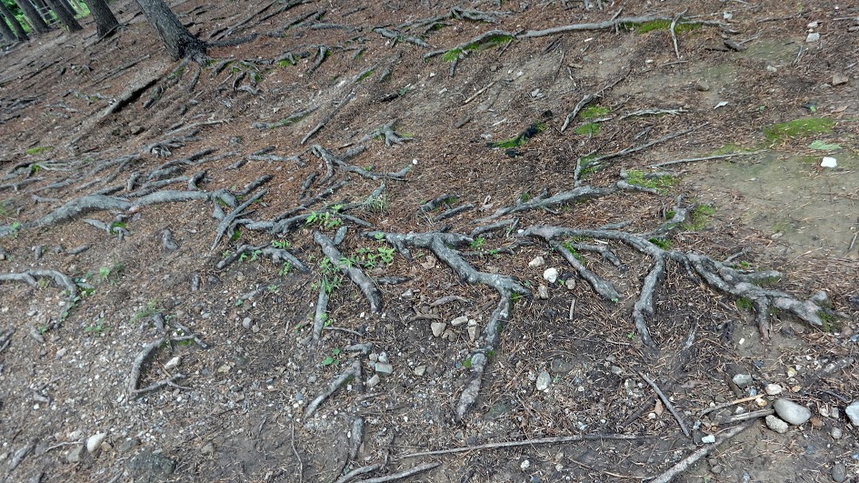 천축산 불영사 (경북 울진)