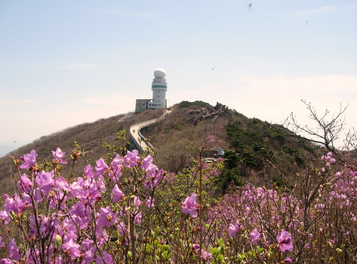 비슬산 이미지