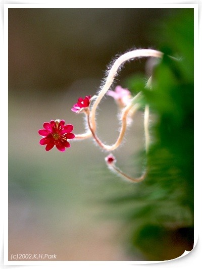 (좋은글) 혜민의글_행복하고 즐겁게 삽시다