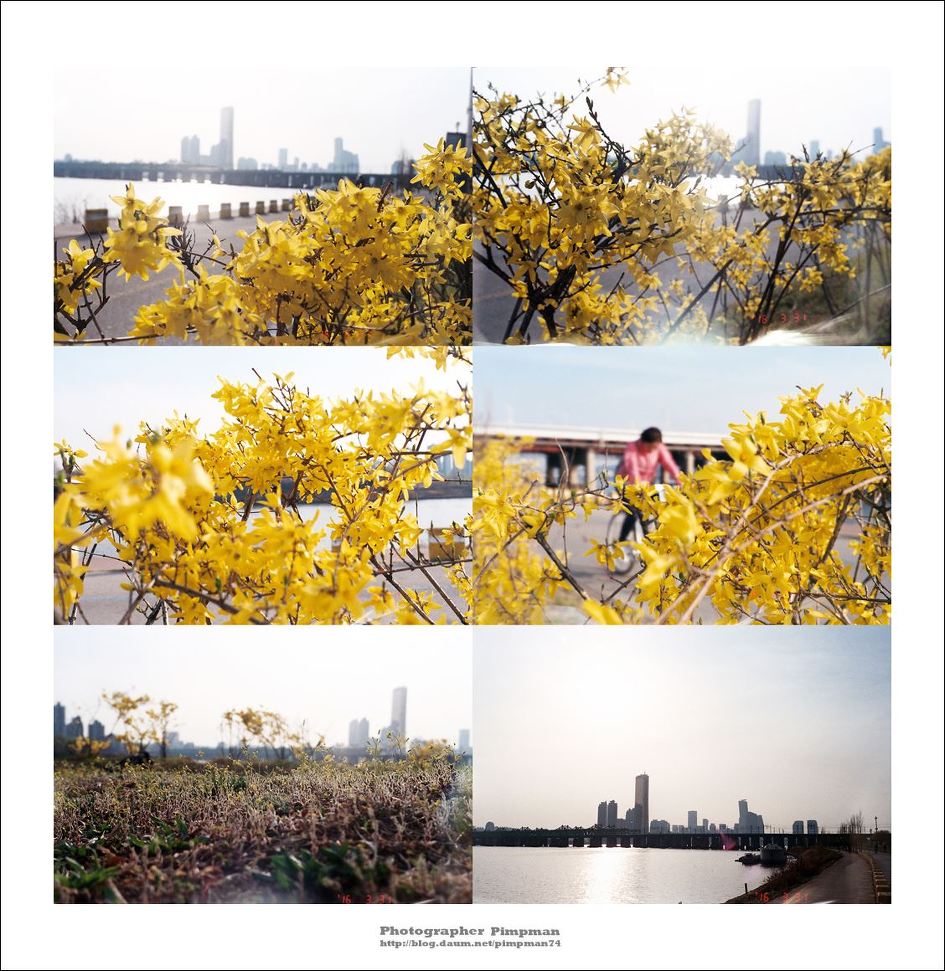 2016-04-01 현상 (068롤 - 칼라) - 서울 봄이 오다 / 올림푸스 뮤2, 후지 슈퍼리아200 (SUPERIA 200), 포토마루