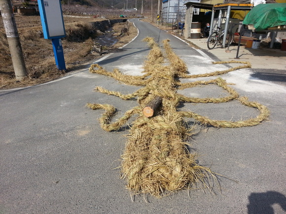 2015년 고경면 상덕리 줄당기기
