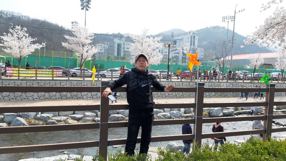 벚꽃따라걷는길