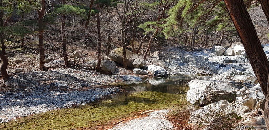 20190402 내연산 보경사 선일대에 오르다..