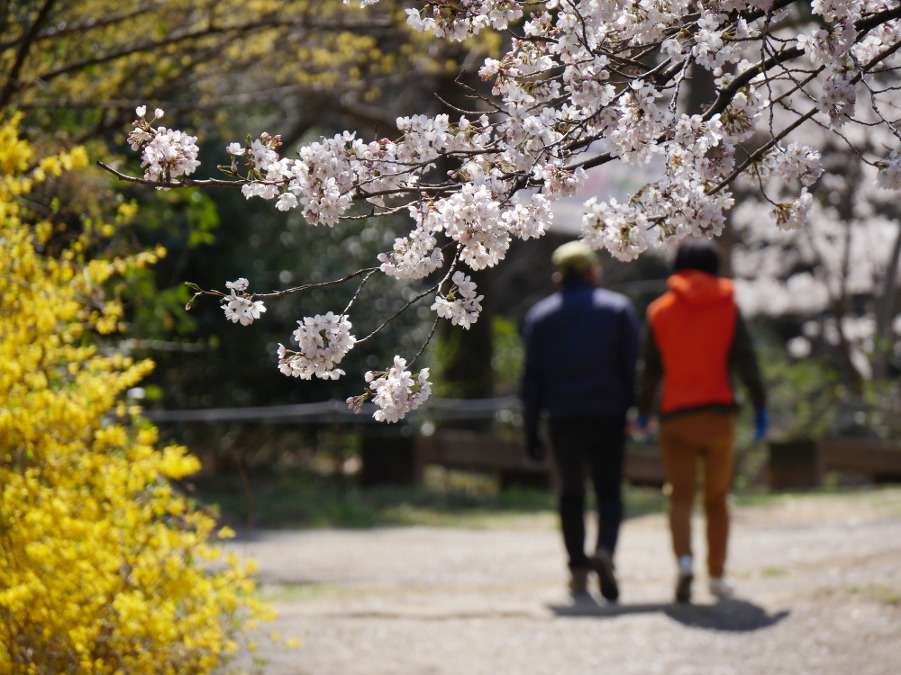 앞산 공원 답사