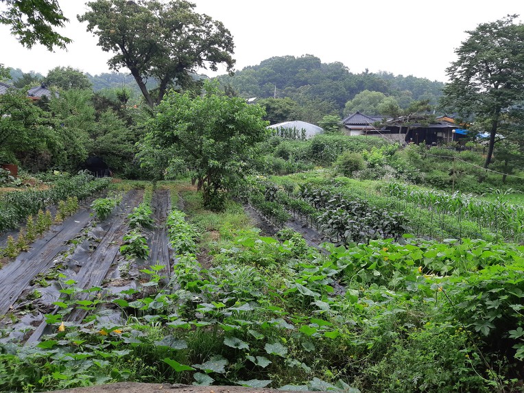 오케이당구장 이미지