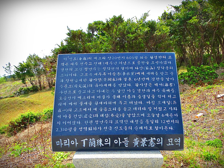 추자도 사모곡