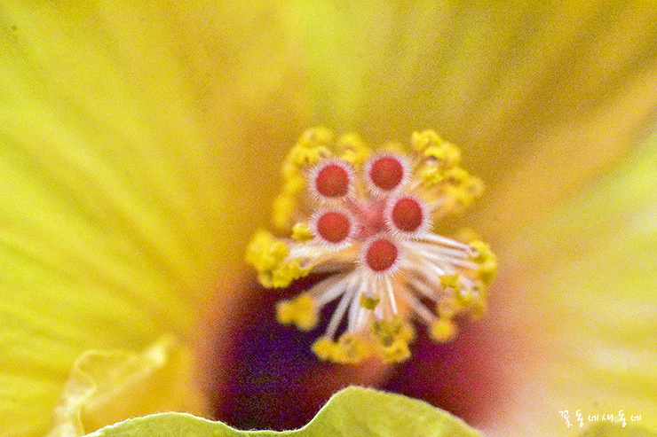 셰익스피어가 중년에게 주는 교훈 아홉가지 