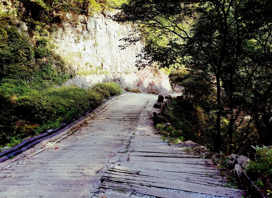 30년만에 모국 방문 31 – 봉화 청량사