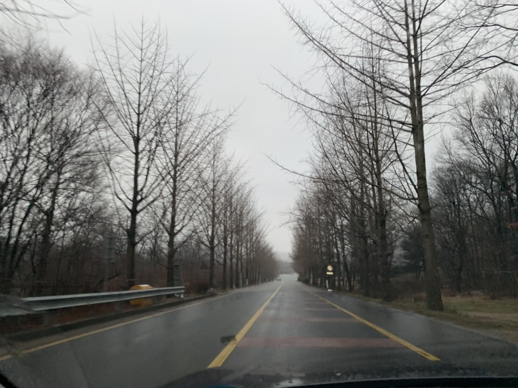 봄비 내리는 출근길
