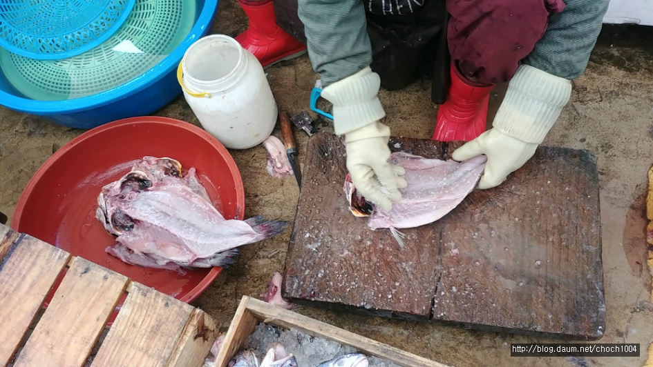 해산물이 넘쳐나는 여수 교동시장 풍경