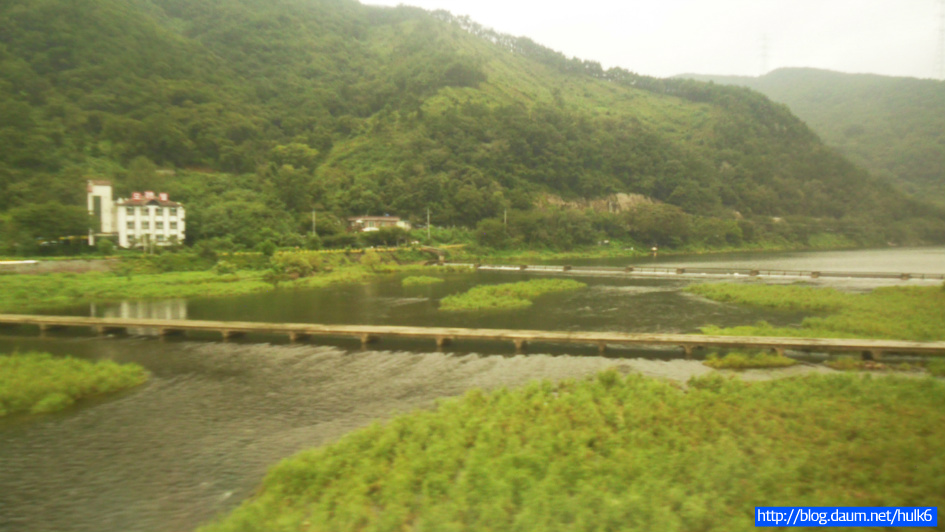 【KORAIL】『부산-수원』무궁화호 탑승外