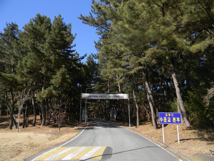 대전 수운교 마무리 (수운교 봉령각, 소나무숲길)