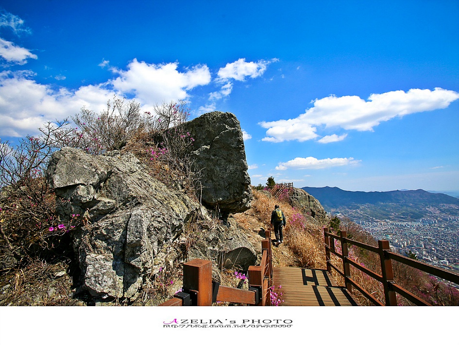 경남 진해 산행(1부)/장복산(덕주봉)&산벚꽃.진달래 핀 멋진 능선길을 따라서 .. 【19년3월31일】 