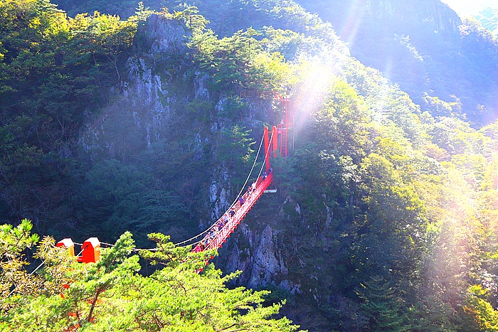 원본이미지(클릭)
