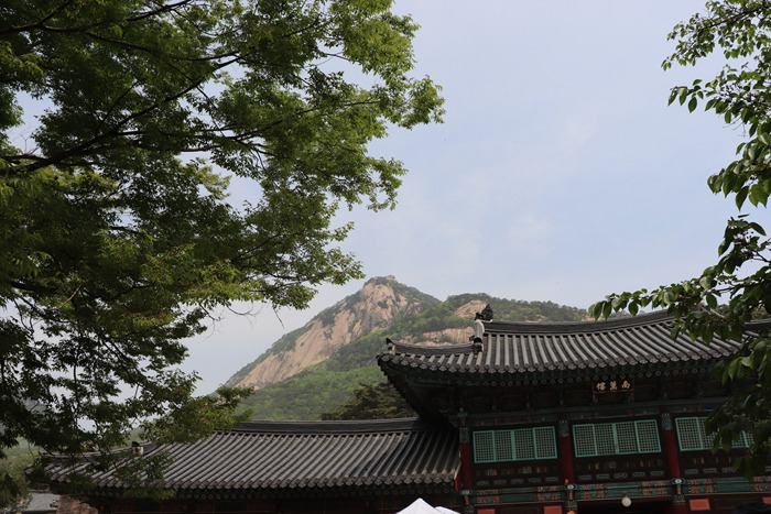 원본이미지(클릭)