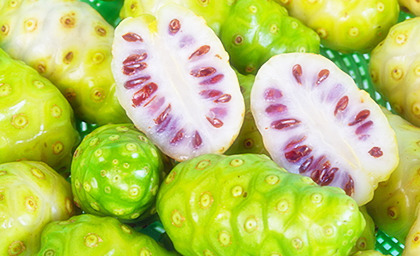 슈퍼푸드 노니(Noni) 효능