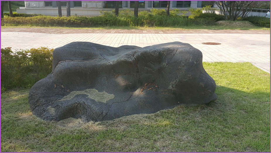 경주동국대 교정에있는 경관석 2점 