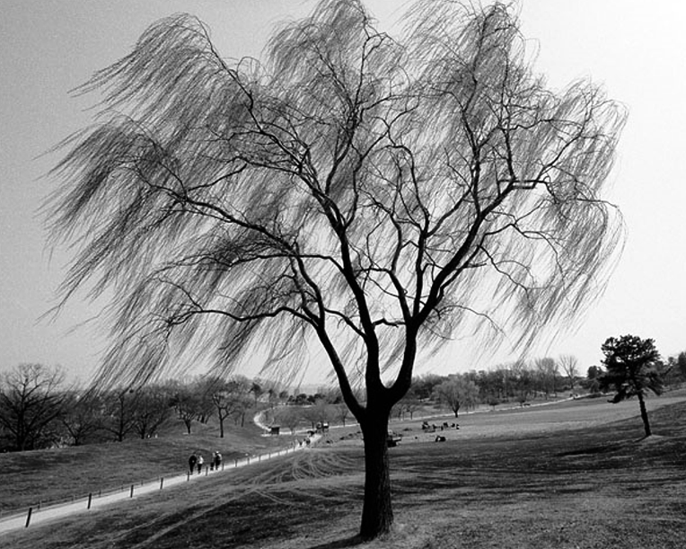 99CA39355DDCF77019F676