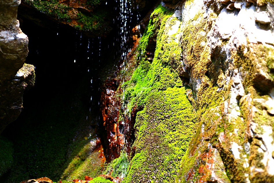 봄이 오는 소리