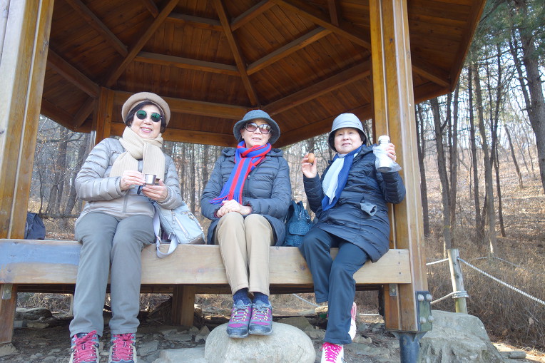 토레 - 오늘은 우면산에서 즐겁게 걸었어요! - 수도여고 15회