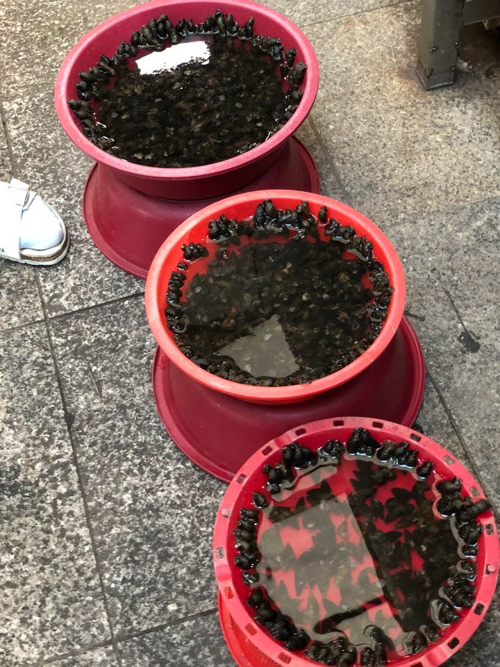 안동댐과시장(2018.9.16 일요일)구경