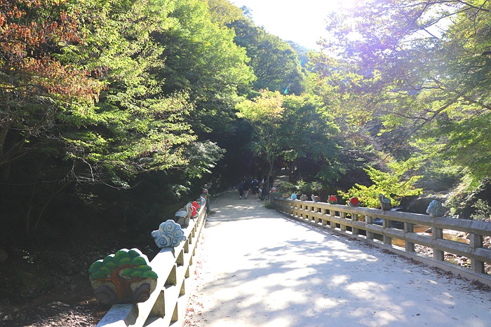 원본이미지(클릭)
