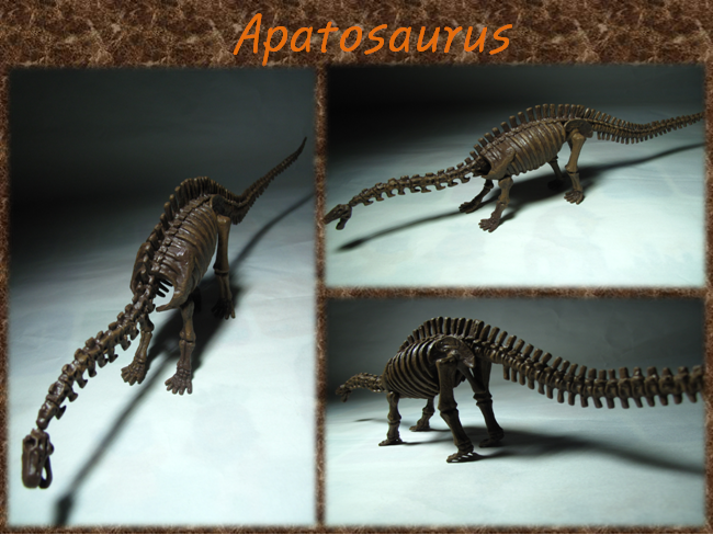 apatosaurus fossil